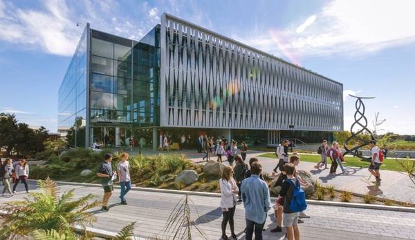 奖学金攻略大全!轻松最大化科廷大学新加坡校区留学预算