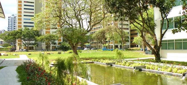 新加坡科廷大学世界排名第几？￼