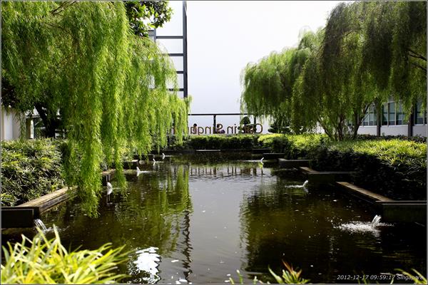 如何轻松获得奖学金？科廷大学新加坡校区申请秘籍曝光！