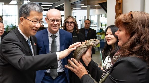 硕士生必看:科廷新加坡校区热门硕士专业排行榜