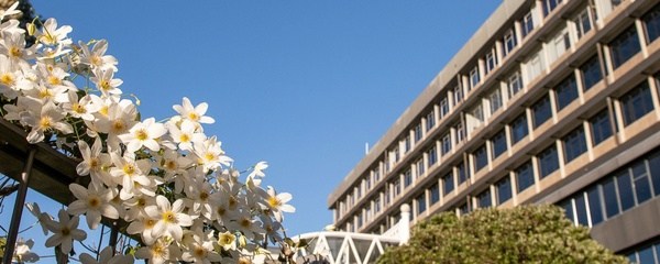 最新推荐：科廷大学新加坡校区热门硕士专业全解析，选择指南